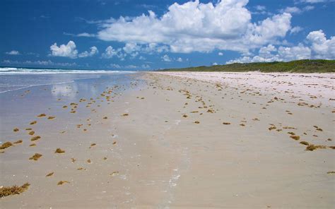 nude beach near daytona beach|Space Coast nudist beach named one of the best in。